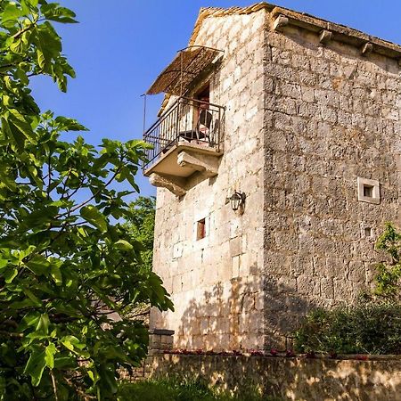 Old Small Stone House Zrnovo Buitenkant foto