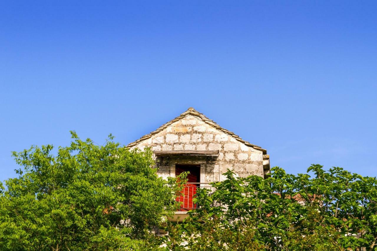 Old Small Stone House Zrnovo Buitenkant foto